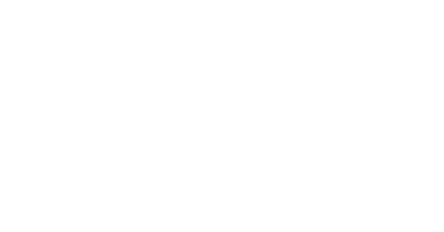 IAM Group